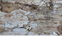 Wood 0002